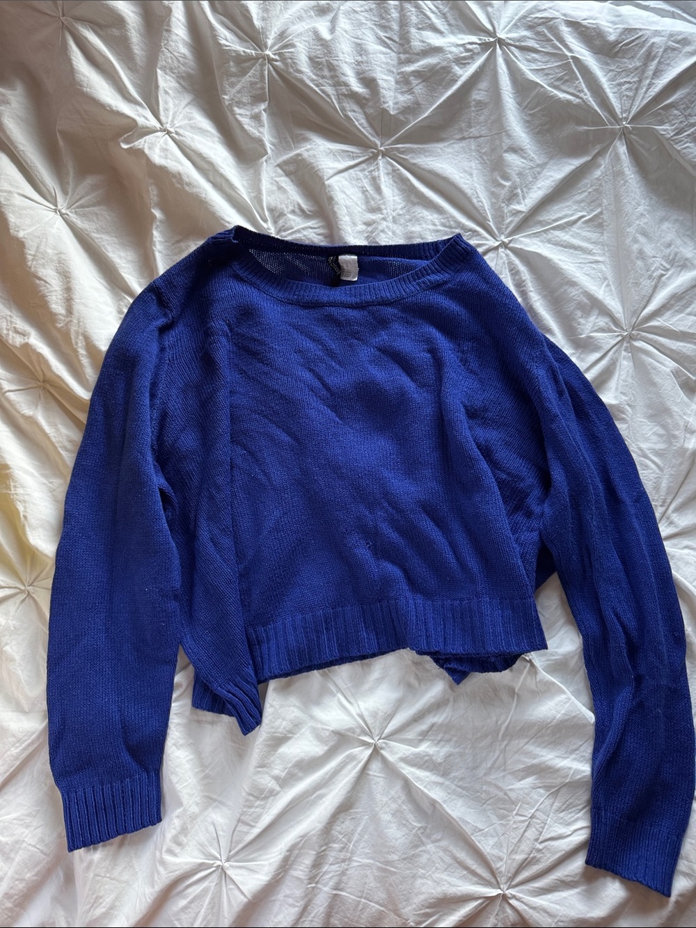 Divided Royal Blue Cropped Crewneck Sweater